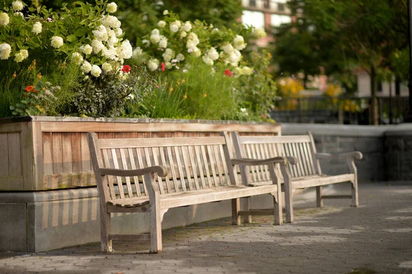 夏天在美丽的公园里的木制长椅 — 图库照片