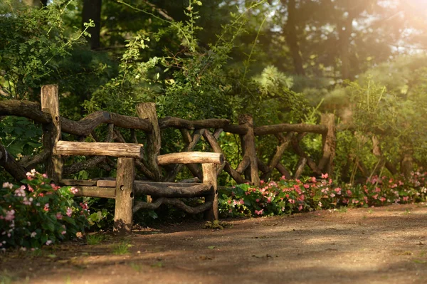 美丽的公园里的木制长椅 — 图库照片