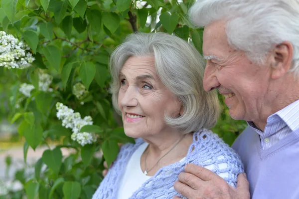 Hermosa Pareja Ancianos Abrazándose Parque Por Lilas —  Fotos de Stock