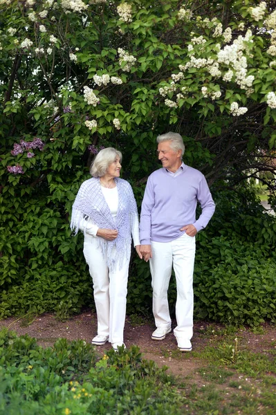 Hermosa Pareja Ancianos Abrazándose Parque Por Lilas —  Fotos de Stock