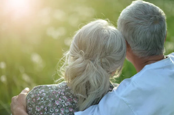 Gelukkig Senior Koppel Groene Weide Met Paardebloemen — Stockfoto