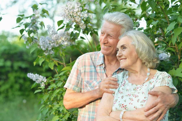 Närbild porträtt av vackra senior par poserar — Stockfoto