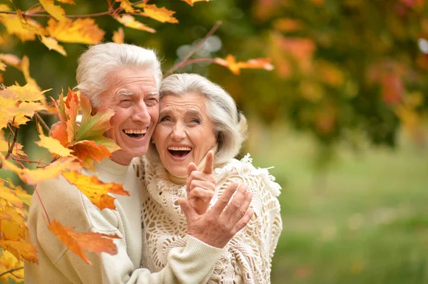 Mulher Sênior Feliz Homem Parque — Fotografia de Stock