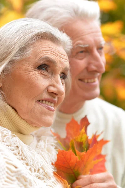 Glückliche Seniorin Und Mann Park — Stockfoto