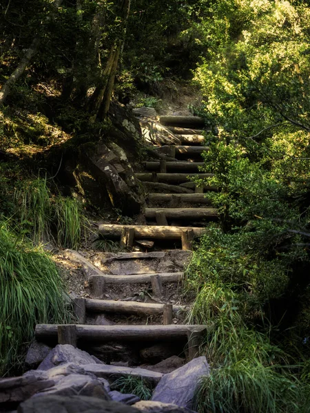 Ormana, La Larri şelalesine doğru adımını atar.