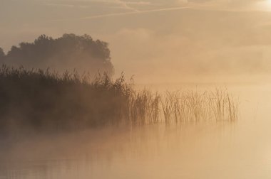 Misty Summer Sunrise göl kenarında