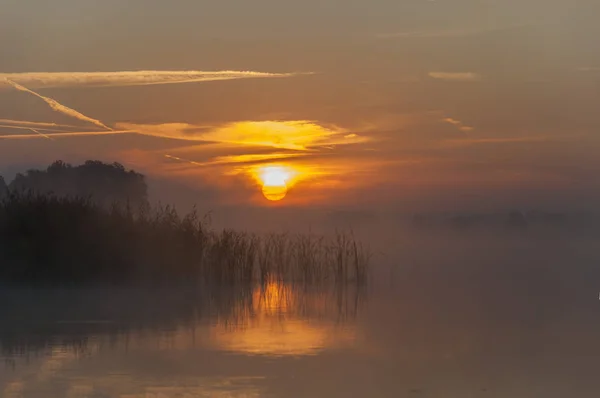 Sonnenaufgang Auf Dem See — Stockfoto