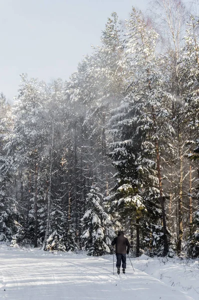 Linda Paisagem Inverno Homem Esquiando — Fotografia de Stock