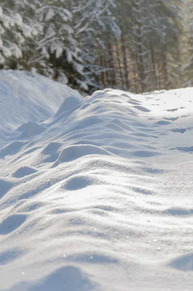 Schöne Winterlandschaft Wald — Stockfoto