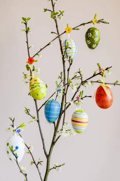 Huevos Pascua Colgando Una Rama — Foto de Stock