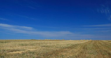 Güneşli bir günde hasat ile tarım alanı.