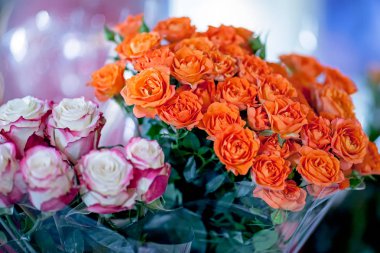 * * * * * * * * * * * * * * * * * * * * * * * * * * * * *.