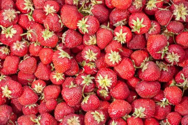 Sağlam bir arka plan ve yakın çekim ile Olgun çilek.