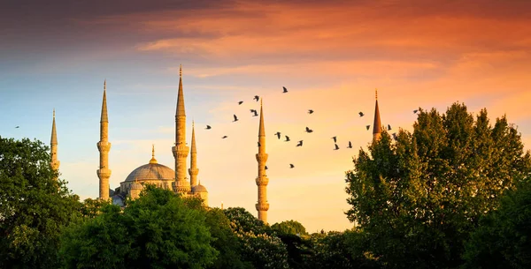 Sultanahmet Mosque Blue Mosque Sign Symbol Istanbul — Stock Photo, Image
