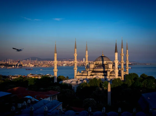 Blue Mosque Sultanahmet Camii Bosporus Asian Side Skyline Istanbul Turkey — Stock Photo, Image