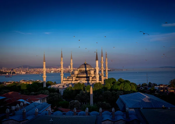 Blue Mosque Sultanahmet Camii Bosporus Asian Side Skyline Istanbul Turkey — Stock Photo, Image