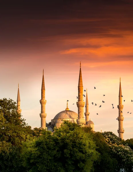 Mavi Camii (Sultanahmet Camii), Boğaziçi ve Anadolu Yakası manzarası, Istanbul, Türkiye