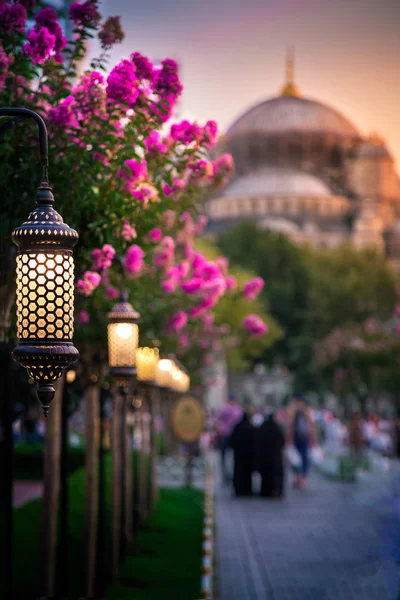 Blue Mosque Sultanahmet Camii Bosporus Asian Side Skyline Istanbul Turkey — Stock Photo, Image