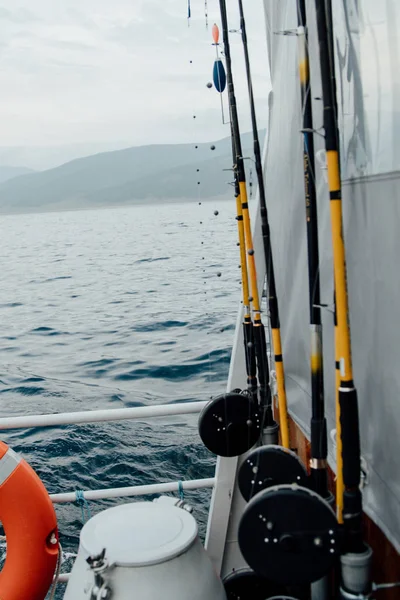 Gemide balık tutma dişliler 