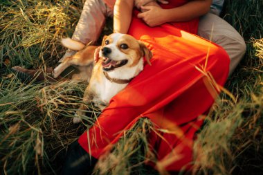 mutluluk sevenler gün batımında iyi eğlenceler 