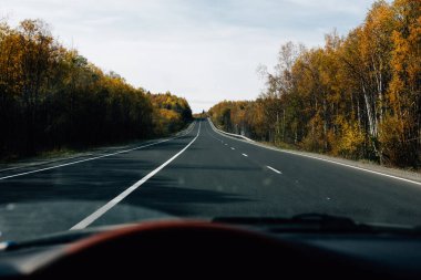 Renkli sonbahar manzarası ve doğa 