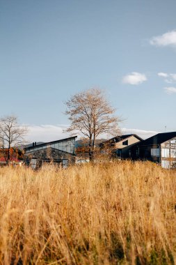 Güzel kız, sonbaharda dışarıda iyi vakit geçir.