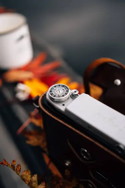 Mooi Meisje Hebben Een Goede Tijd Herfst Buiten — Stockfoto