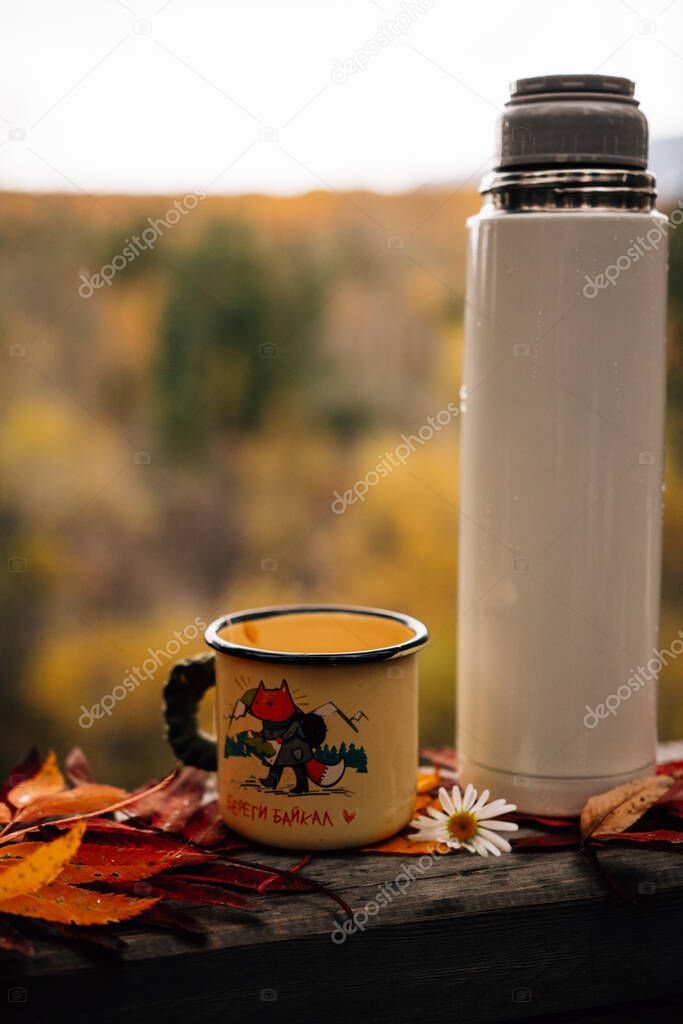 cup with thermos bottle on wooden fence with autumn fallen leaves 