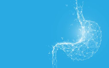 Çizgiler, üçgenler ve parçacık tarzı tasarım insan midesi. İllüstrasyon vektörü