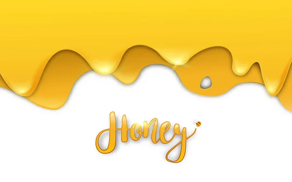 Floor Honey Drops Een Witte Achtergrond Vector Illustratie — Stockvector