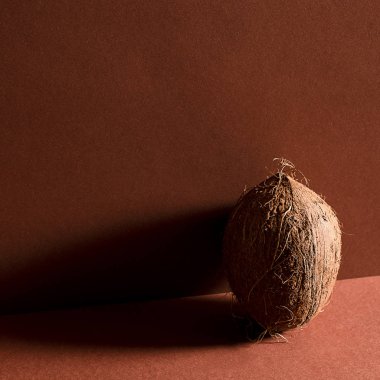 bir bütün Hindistan cevizi