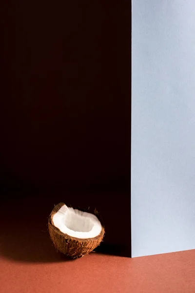 Still life of coconut half — Stock Photo, Image
