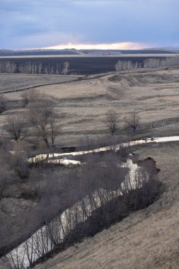 Gri bahar dikey yatay