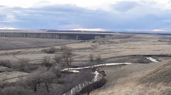 Gri bahar dikey, yatay, kuru otlar, dağlar