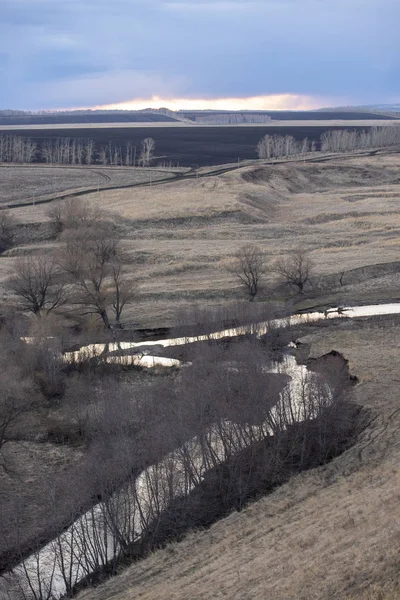 Gri bahar dikey yatay