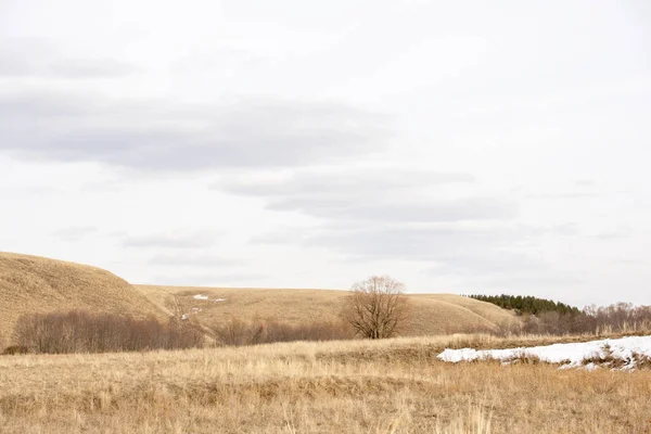 Early spring landscape — Stock Photo, Image