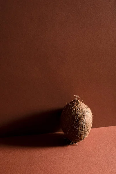 Un coco entero — Foto de Stock