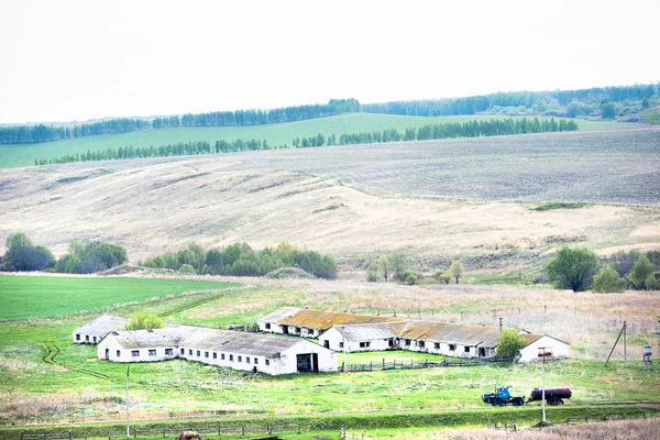 White stone farm for cattle on a summer day — Stock Photo, Image