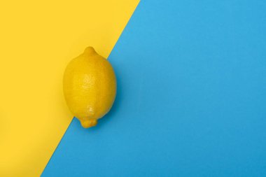 Sarı-mavi arka plan üzerinde bir sarı limon. Üstten görünüm.