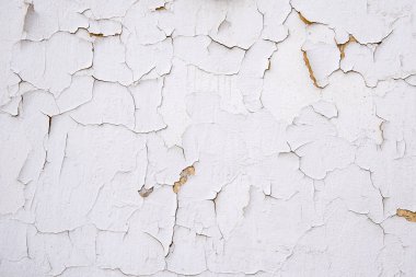 Beyaz eski sıva çatlakları. İlginç malzemelerin çeşitli için arka plan.