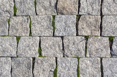 Taş duvar arka plan gri, nerede yosun yetişir mi