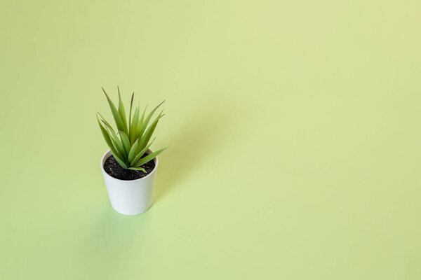 Artificial green flower with leaves in a pot on green