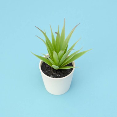 Mavi bir tencerede yapraklarla yapay yeşil çiçek