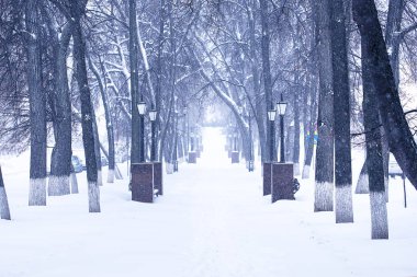Işıklar kış kar fırtınası şehirde Park yolu