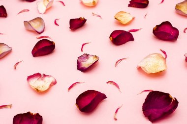 gül yaprakları üzerinde pembe bir arka plan