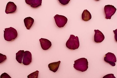 Gül yaprakları bir pembe Bordo