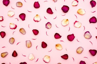 gül yaprakları üzerinde pembe bir arka plan