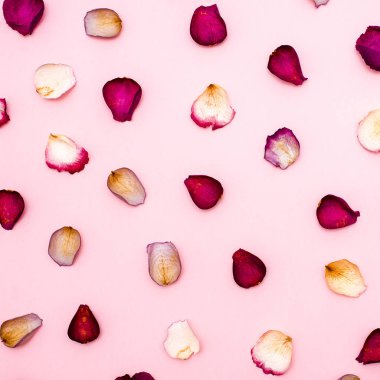 gül yaprakları üzerinde pembe bir arka plan