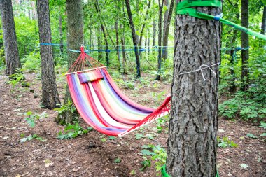 Hamaklar ve halatlar dinlenmek ve faaliyetleri için ormandaki son derece gergin
