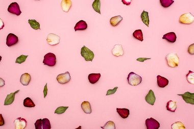 Bordo gül yaprakları vardır ve bir pembe yeşil yaprakları .